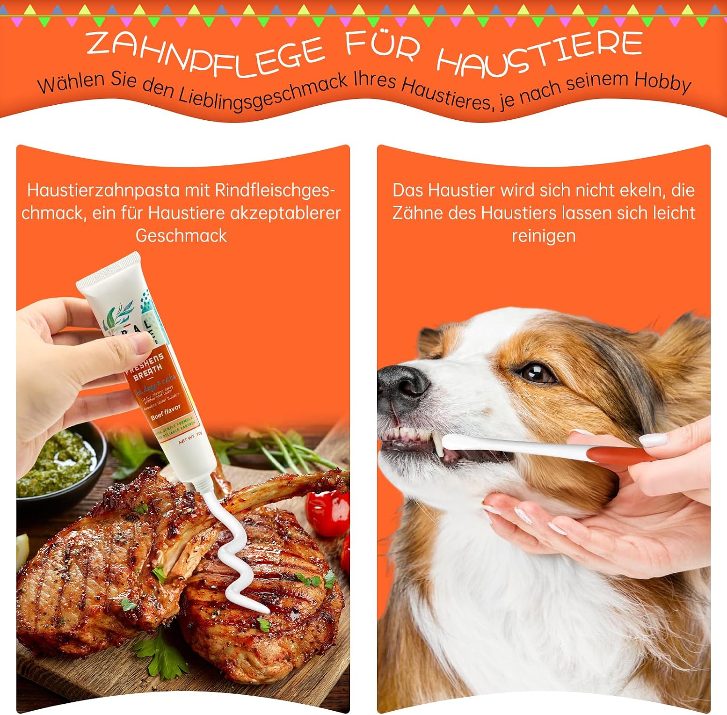 Detalle 1 de MEIEGOU Zahnpflege Hund Set