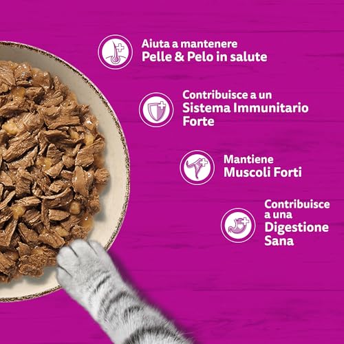 Detalle de WHISKAS PURE DELIGHT Cibo Umido in Gelatina per Gatti Adulti 4x85g Selezione Delicata
