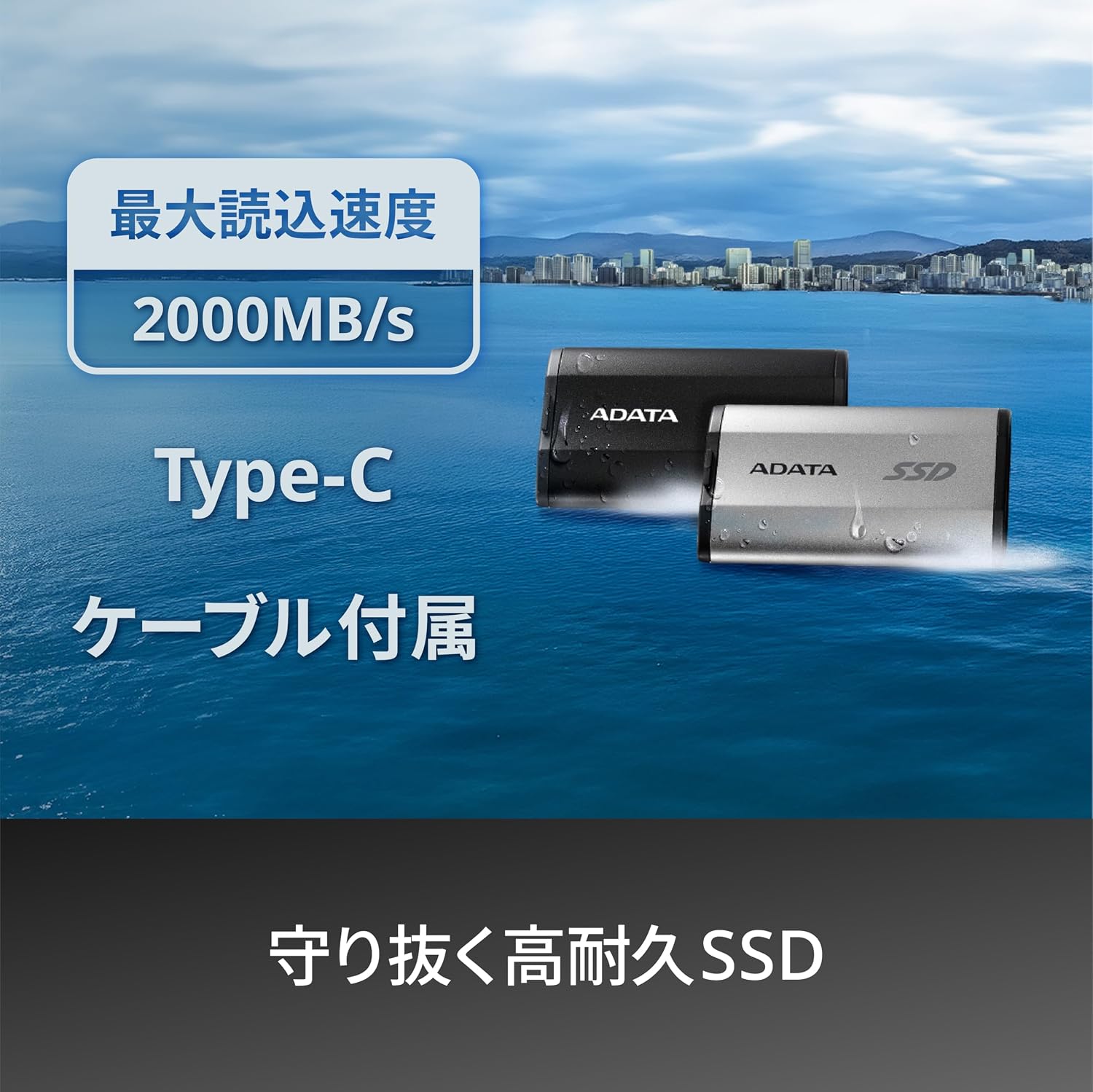 Detalle de エイデータ SD810-1000G-CSG 外付けSSD 1TB シルバー USB 3.2 Gen2x2・IP68
