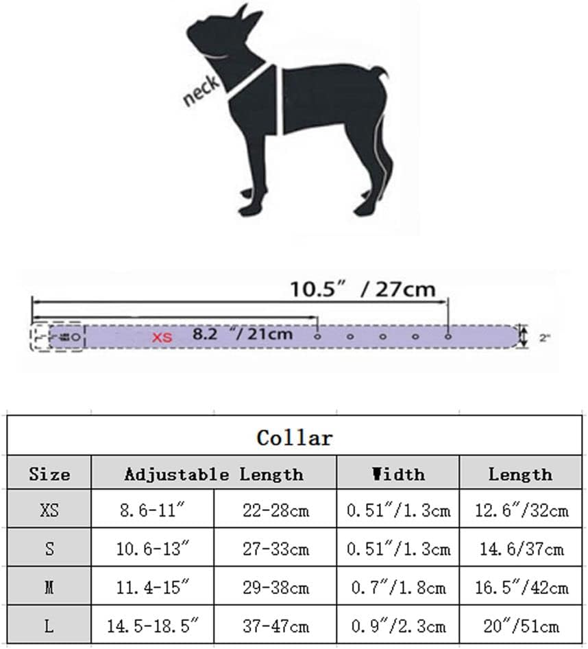 Thumbnail 3 de Spiked leather dog collar with rivet studs and adjustable buckle (black) for small to large dogs