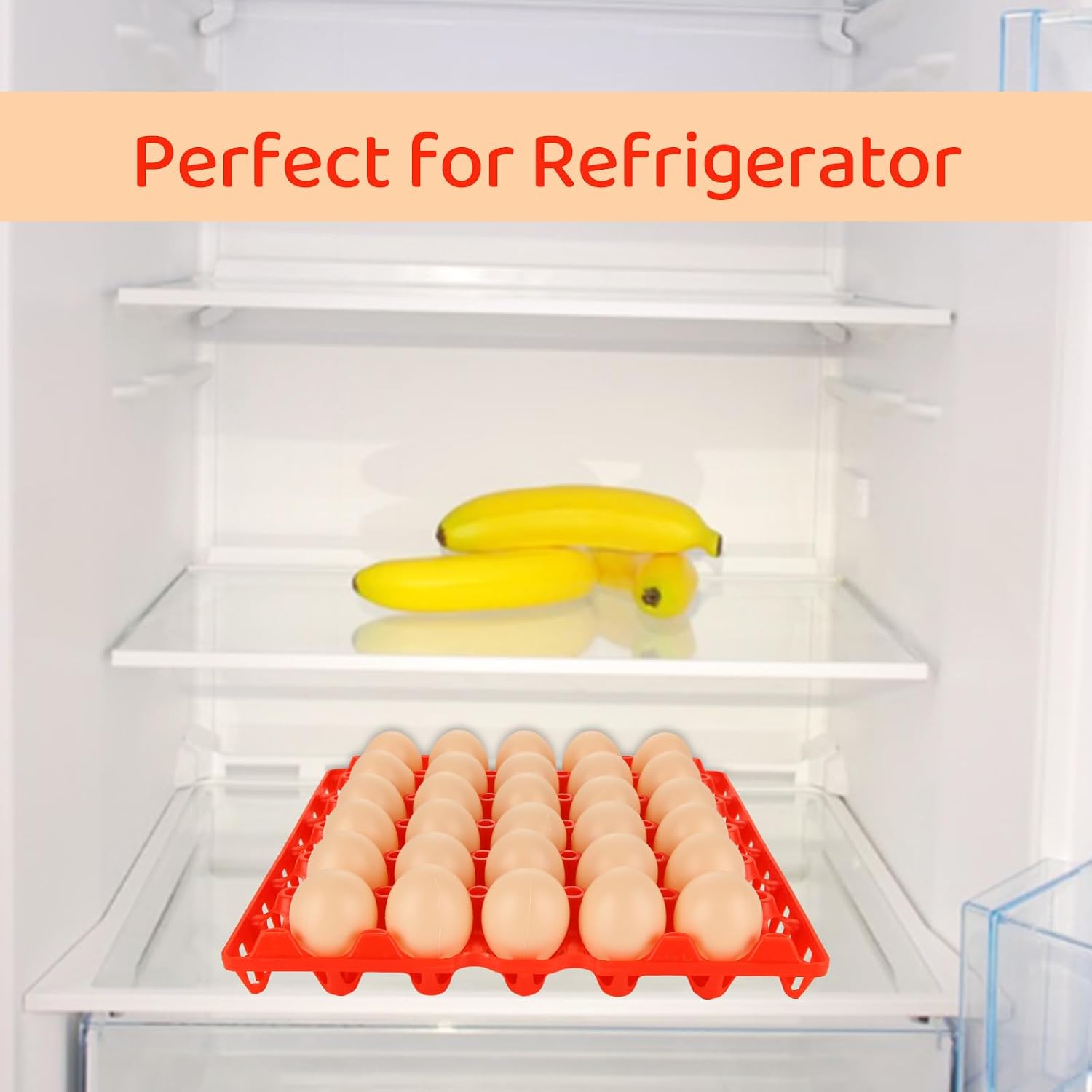 Detalle de ACXFOND Plastic Egg Trays, 30-Egg Capacity