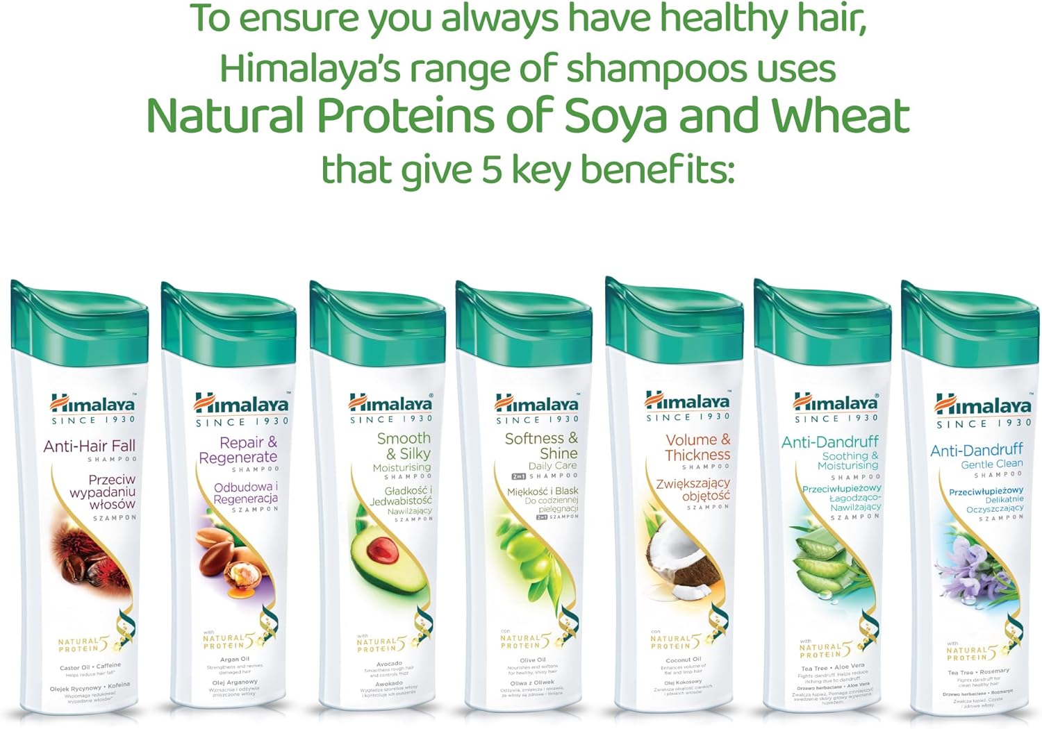 Thumbnail 6 de Himalaya Champú Reparador Regenerador 400 ml – soin quotidien pour cheveux abîmés