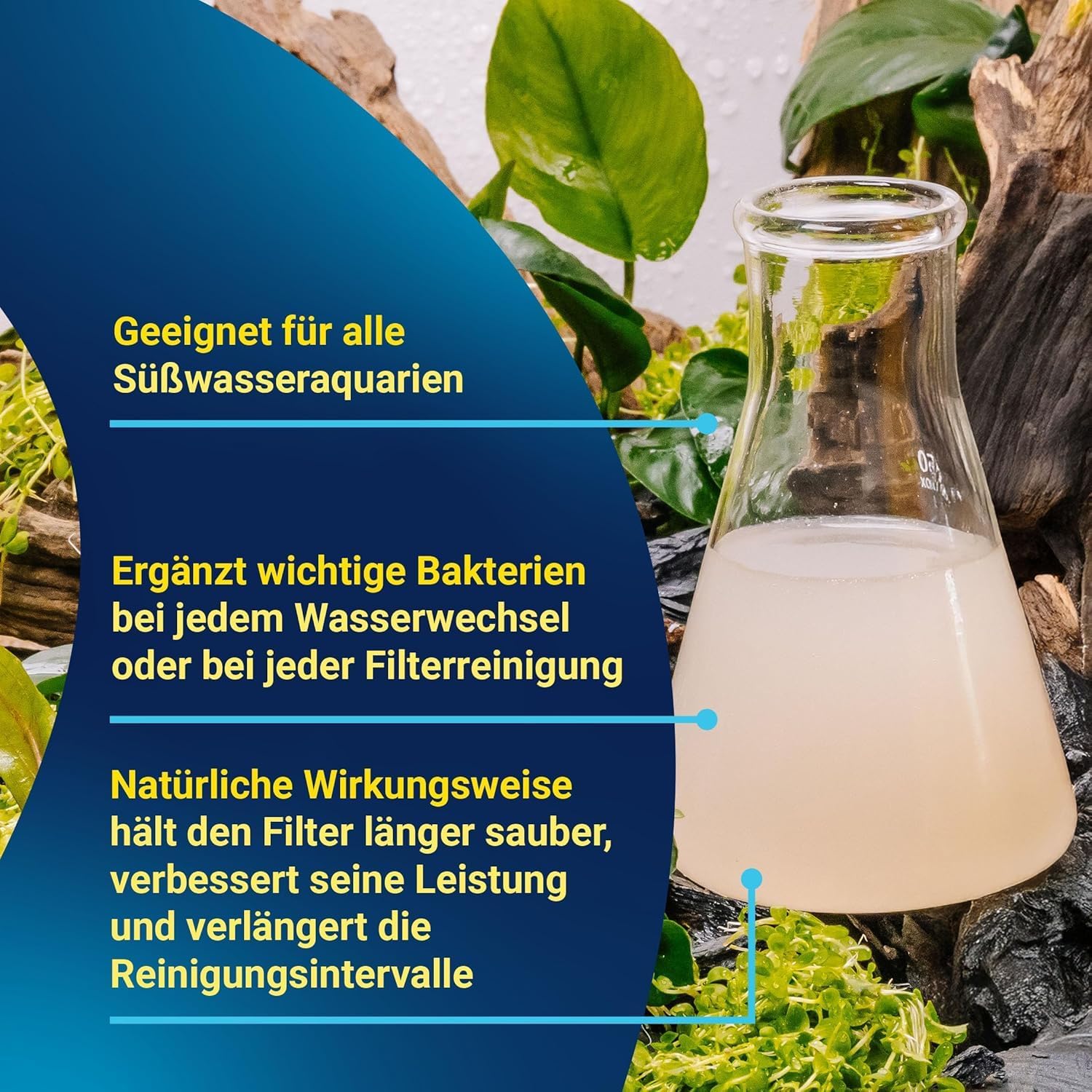 Thumbnail 4 de Tetra FilterActive Bacteria 2in1 – Starterbakterien + Schlammabbau für Süßwasseraquarien (250 ml)