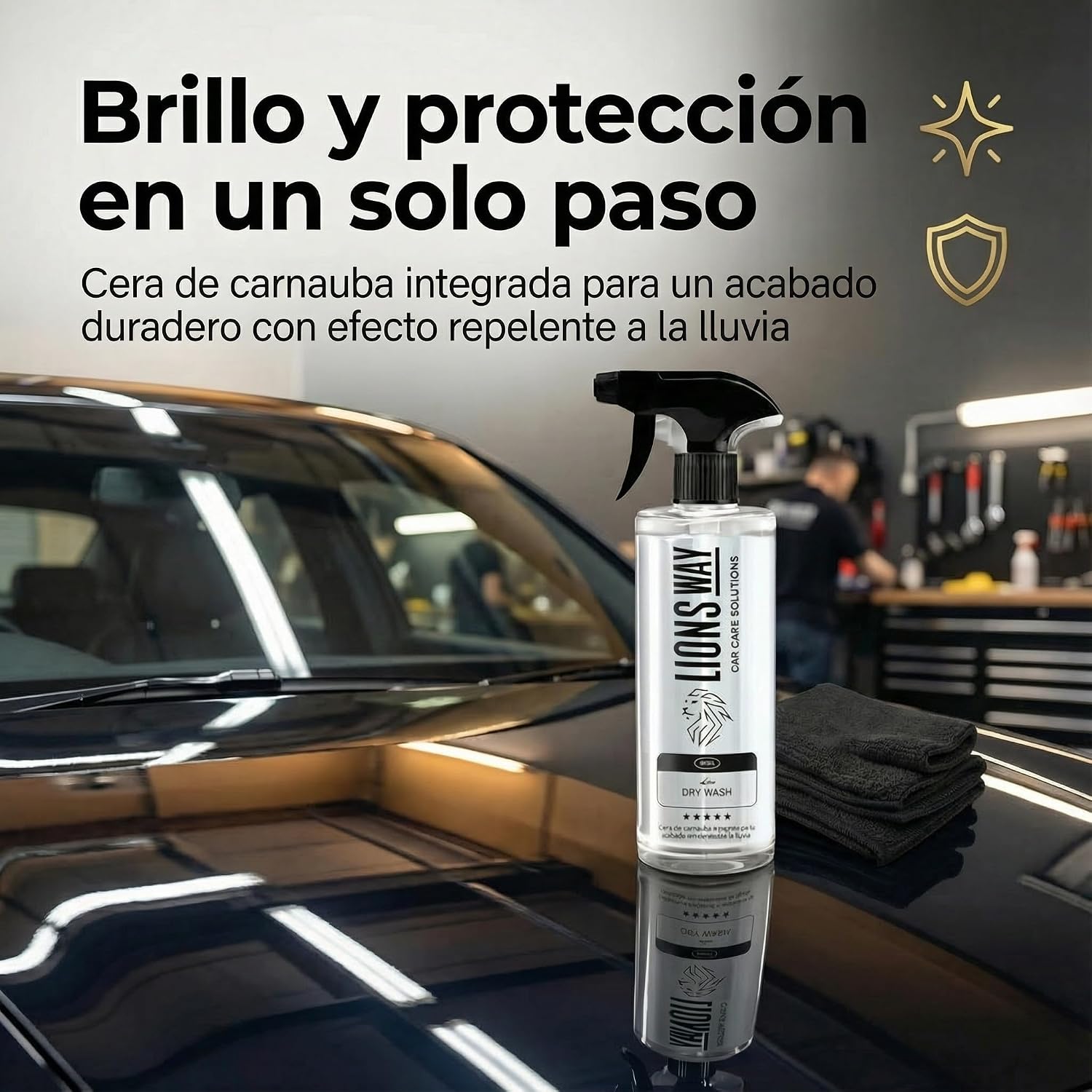 Detalle 2 de LionsWay Limpieza en Seco con Cera Carnauba