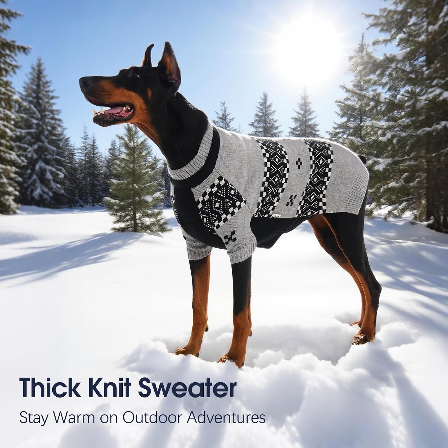 Detalle de IECOii Dog Sweater 2XL