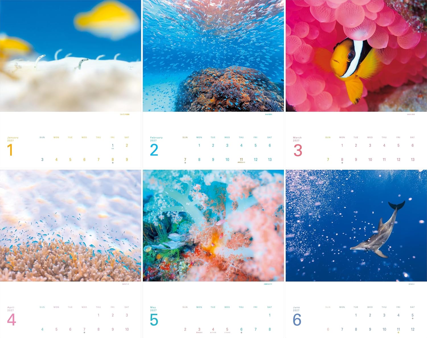 Detalle 2 de ヤマケイカレンダー2027 しあわせのうみ 壁掛け・月めくり、海中写真と月の満ち欠け
