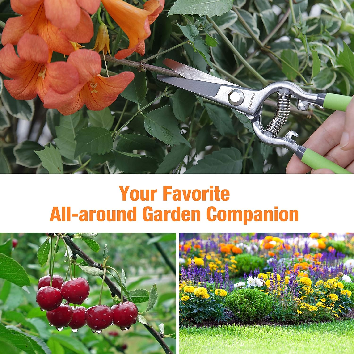 Thumbnail 6 de WORKPRO 2-Piece 200 mm Pruning Shears Set (200 mm pruning shears + 200 mm grape shears)