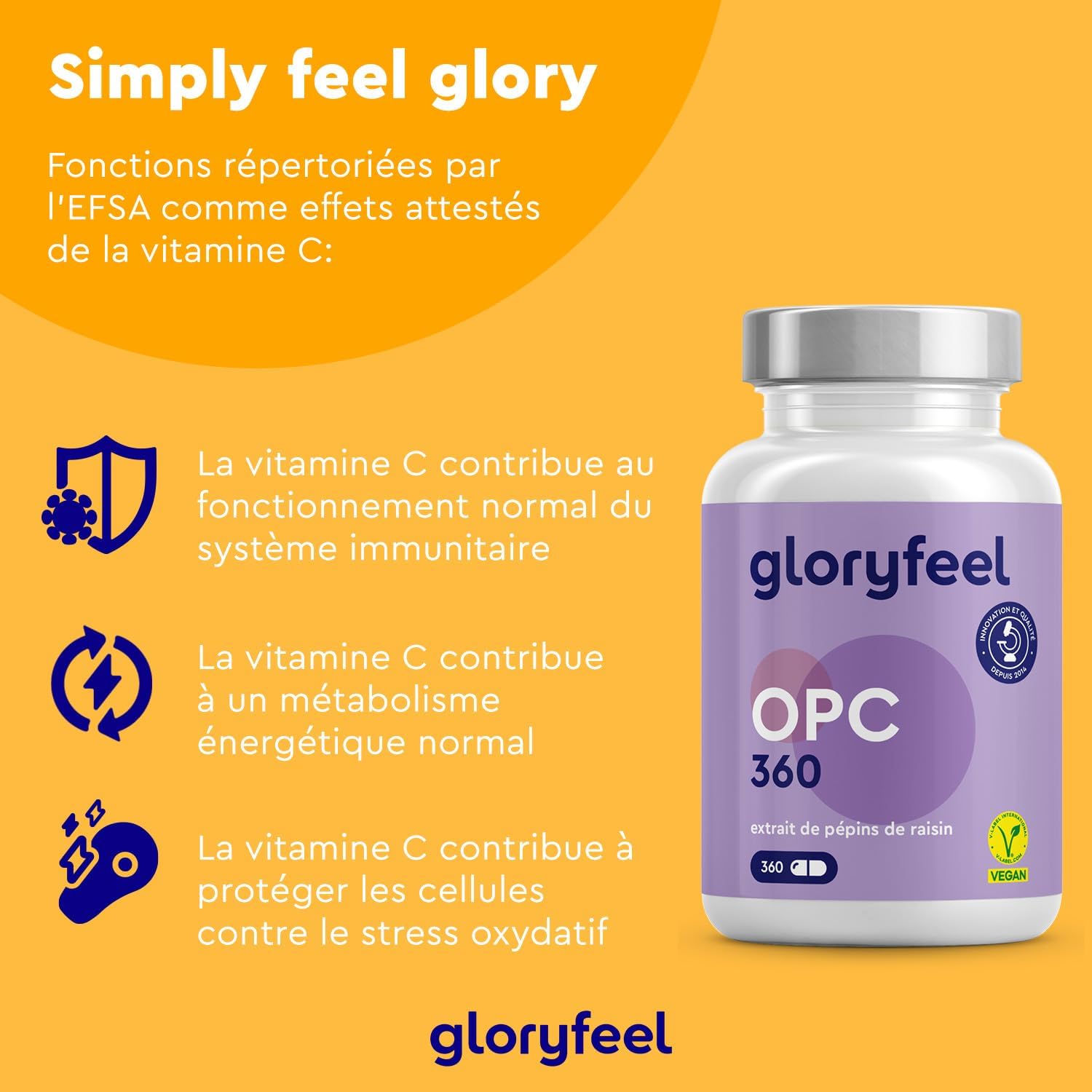 Thumbnail 4 de Gloryfeel OPC 1052 mg extrait de raisin đ