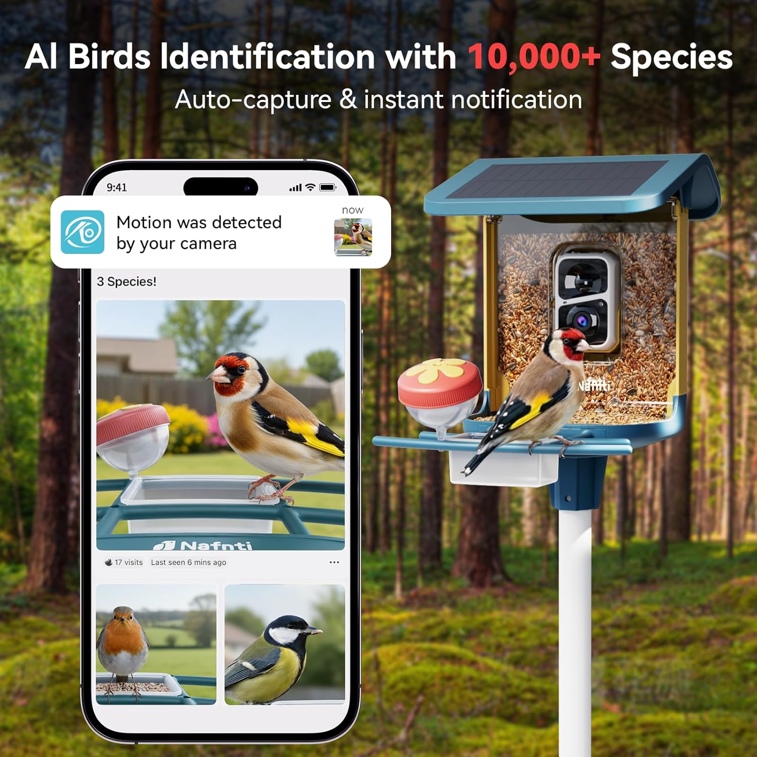 Thumbnail 3 de 2K Bird Feeder with Camera: Solar Powered, AI Bird ID, 1.8L Capacity, IP65 Weatherproof