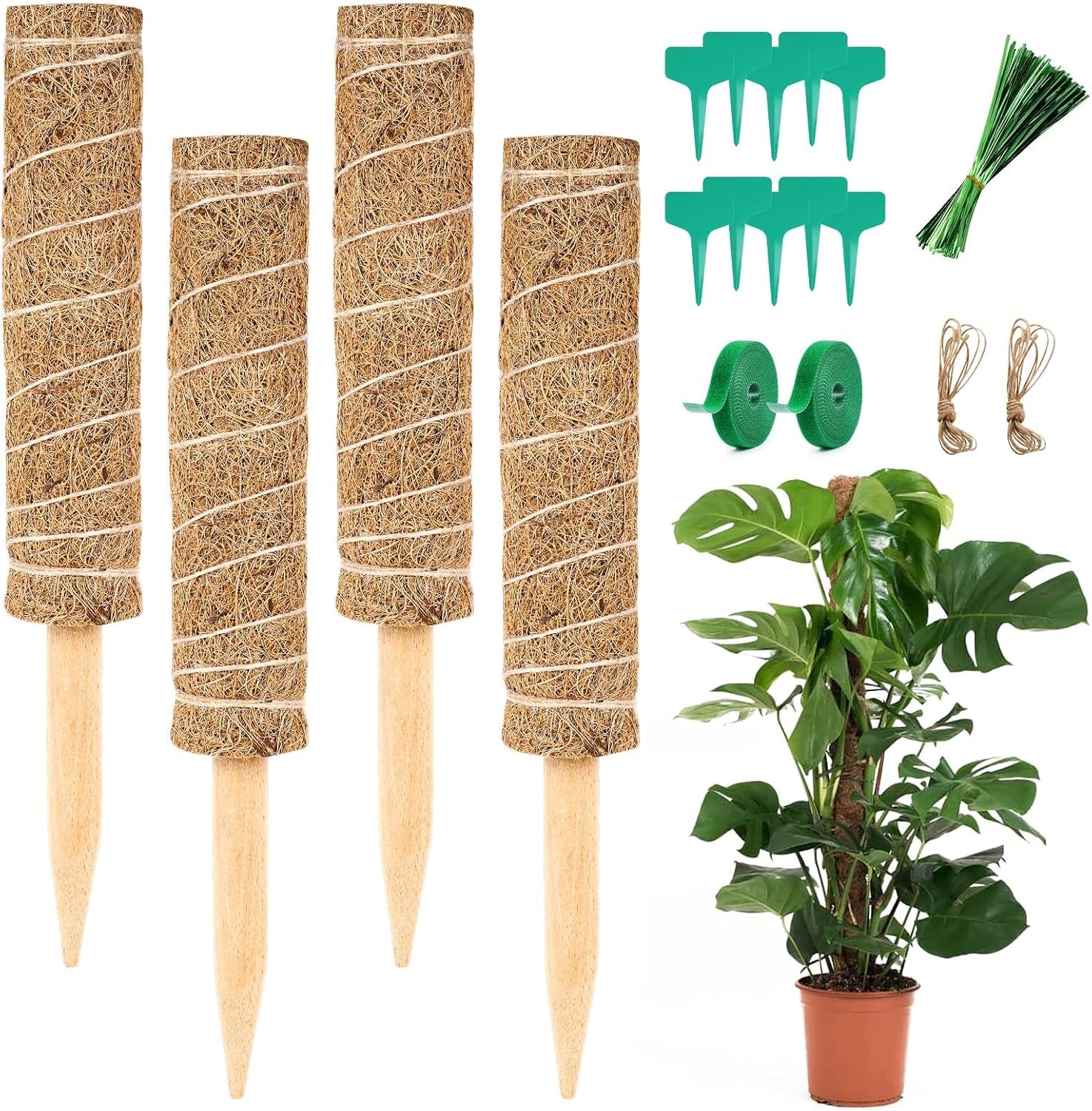 Detalle de Vicloon Moss Pole 30cm Pack of 4