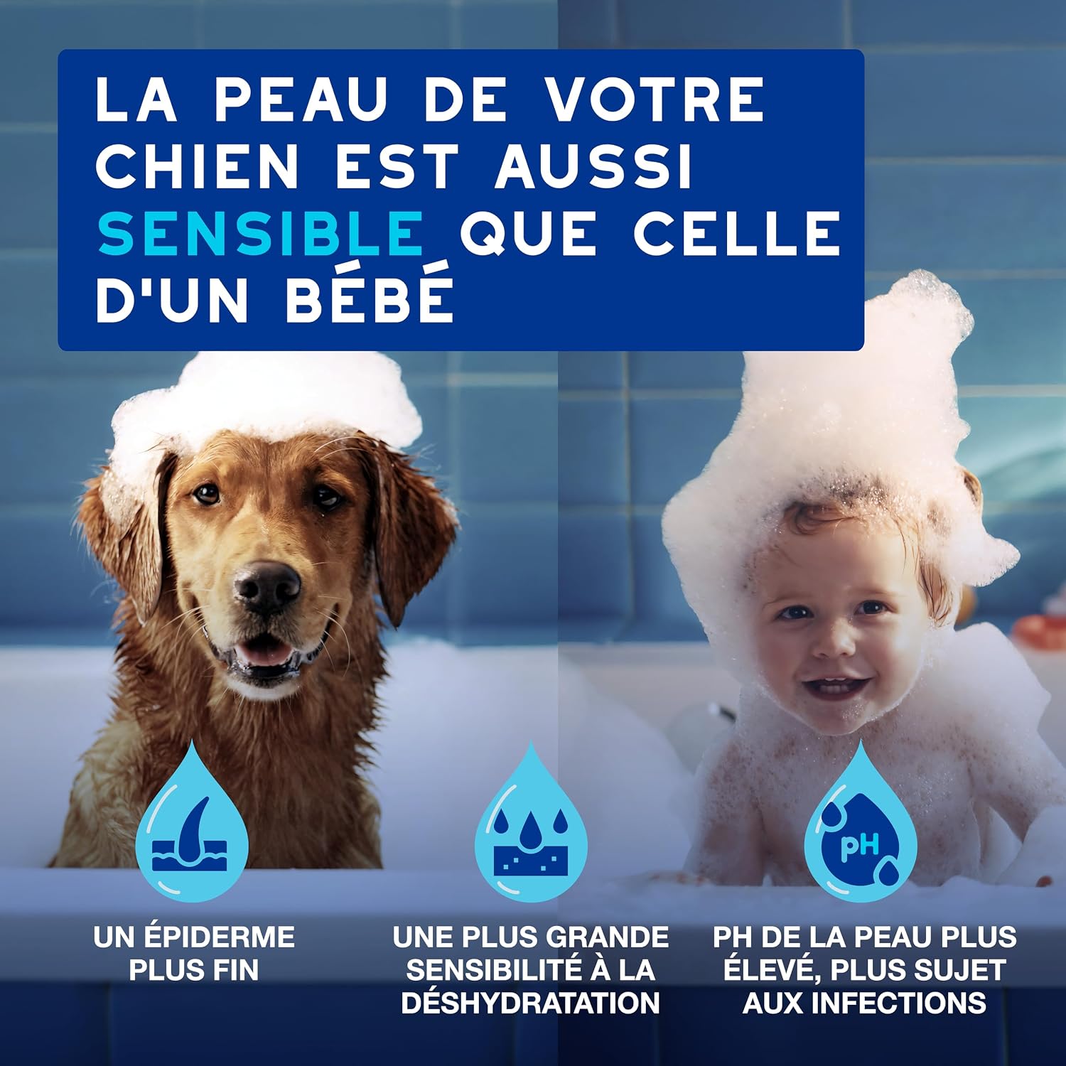 Detalle de DOUXO Skin & Coat Spa Ultra-Safe Mousse sans rinçage pour Chiens – 150 ML