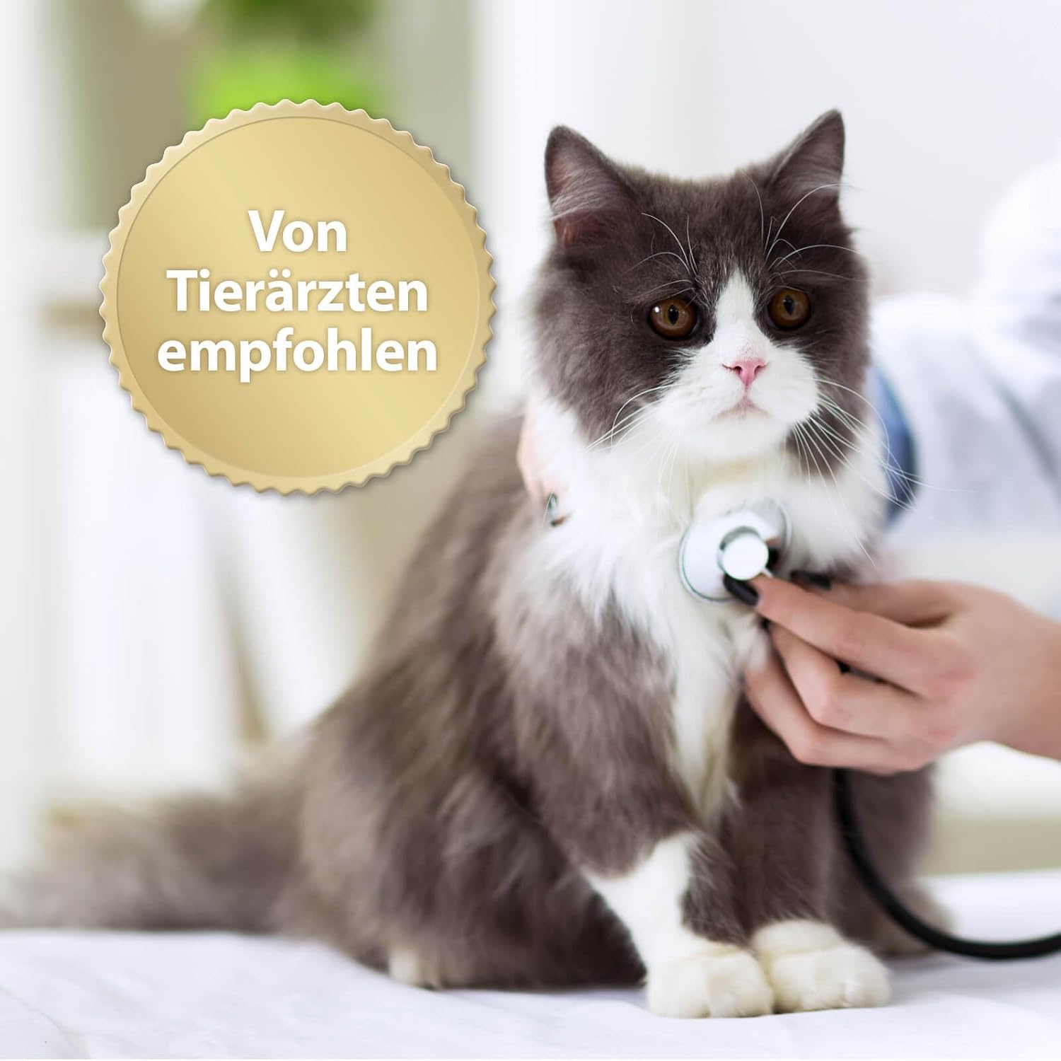 Detalle de Felisept Family Comfort Nachfüllpack 45 ml – Beruhigung mit Katzenminze für Mehrkatzenhaushalte