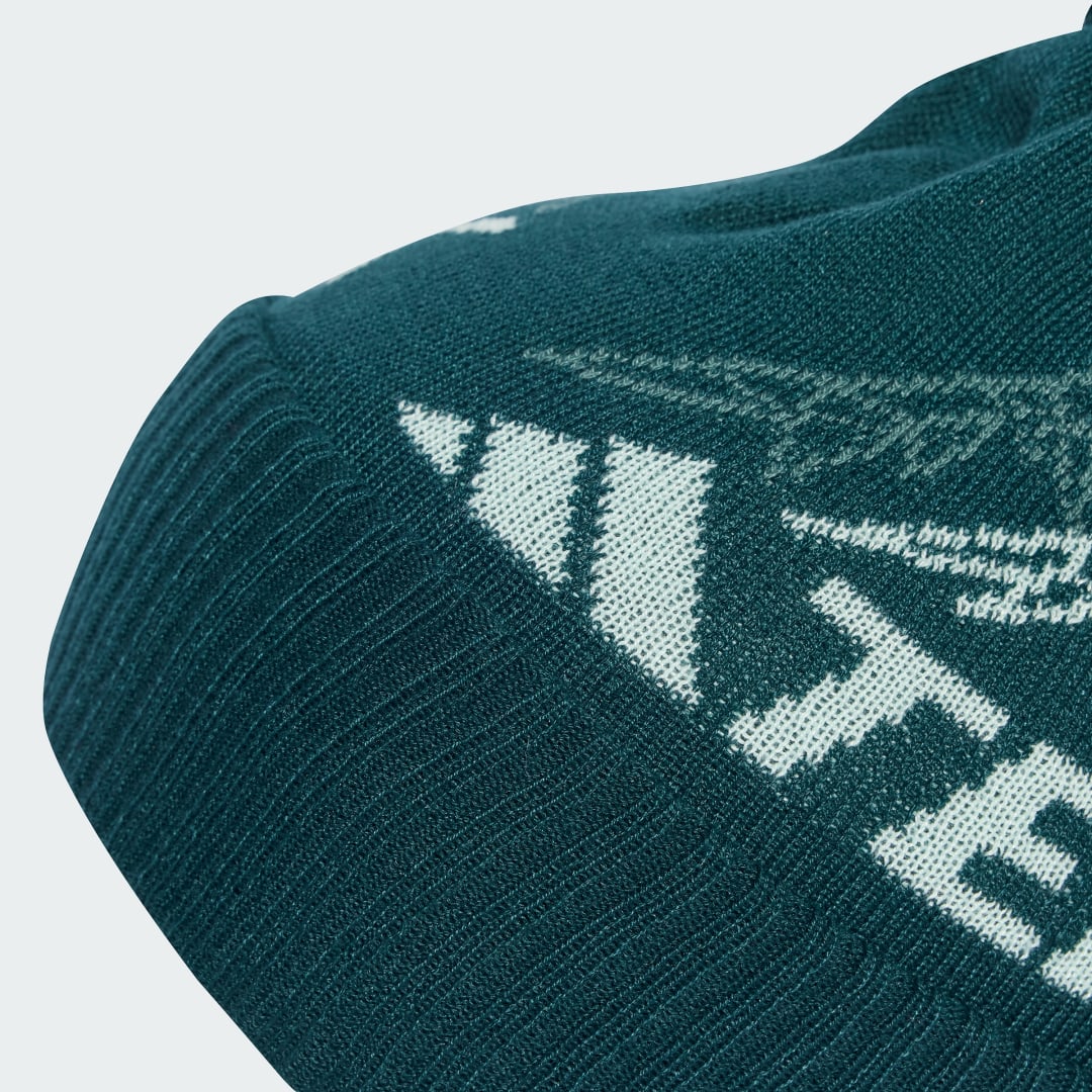 Detalle 2 de Gorro con pompón Terrex Xploric de Adidas – verde