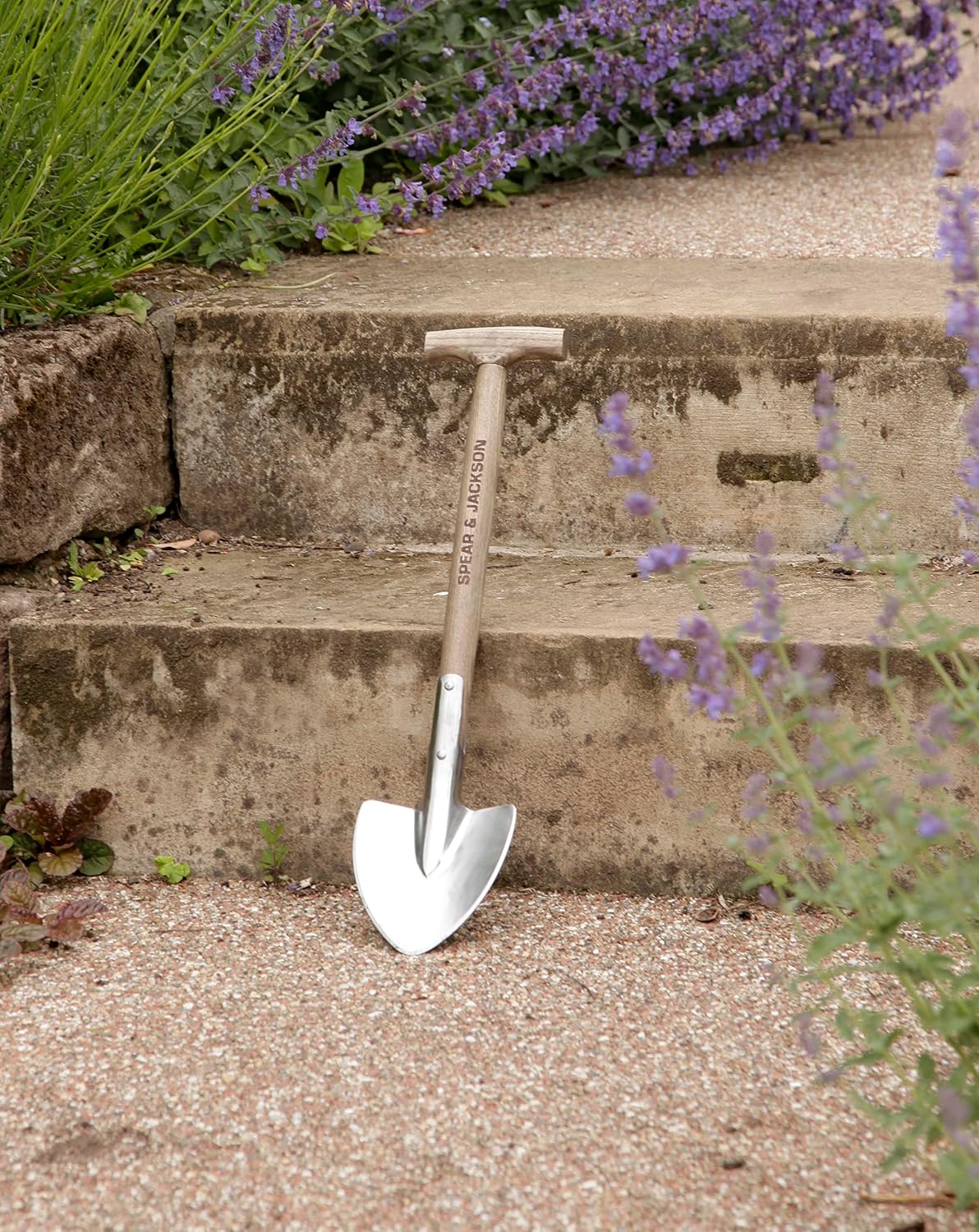 Detalle de Spear & Jackson 4750Fs tradycyjna łopatka kwiatowa ze stali nierdzewnej