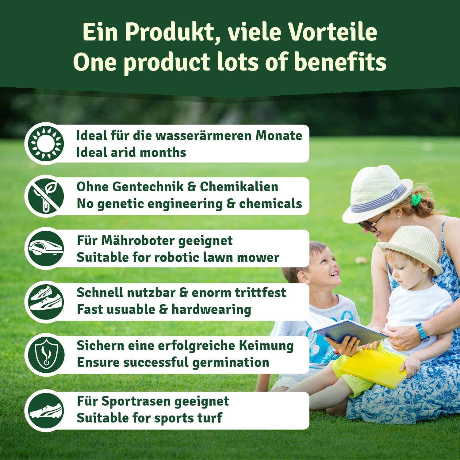 Thumbnail 2 de Veddelholzer Rasensamen 1 kg für 35–40 m²