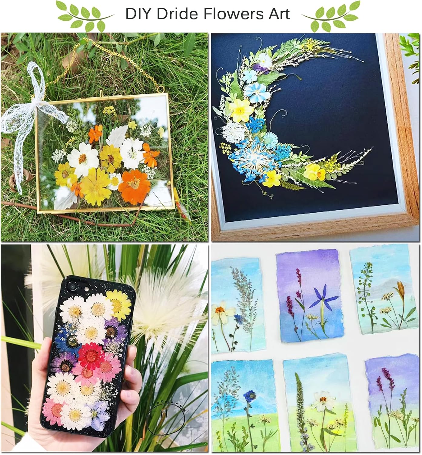 Thumbnail 6 de Rhykoka Large Flower Press Kit for Adults (10 Layers, 30 x 21cm) DIY wood flower pressing set
