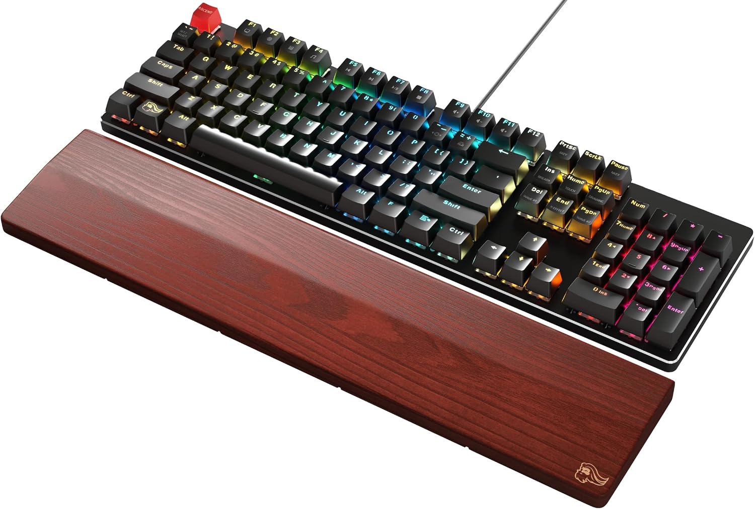 Thumbnail 6 de Glorious Gaming Wooden Keyboard Wrist Rest (Full Size) – Golden Oak, weißes Eschenholz