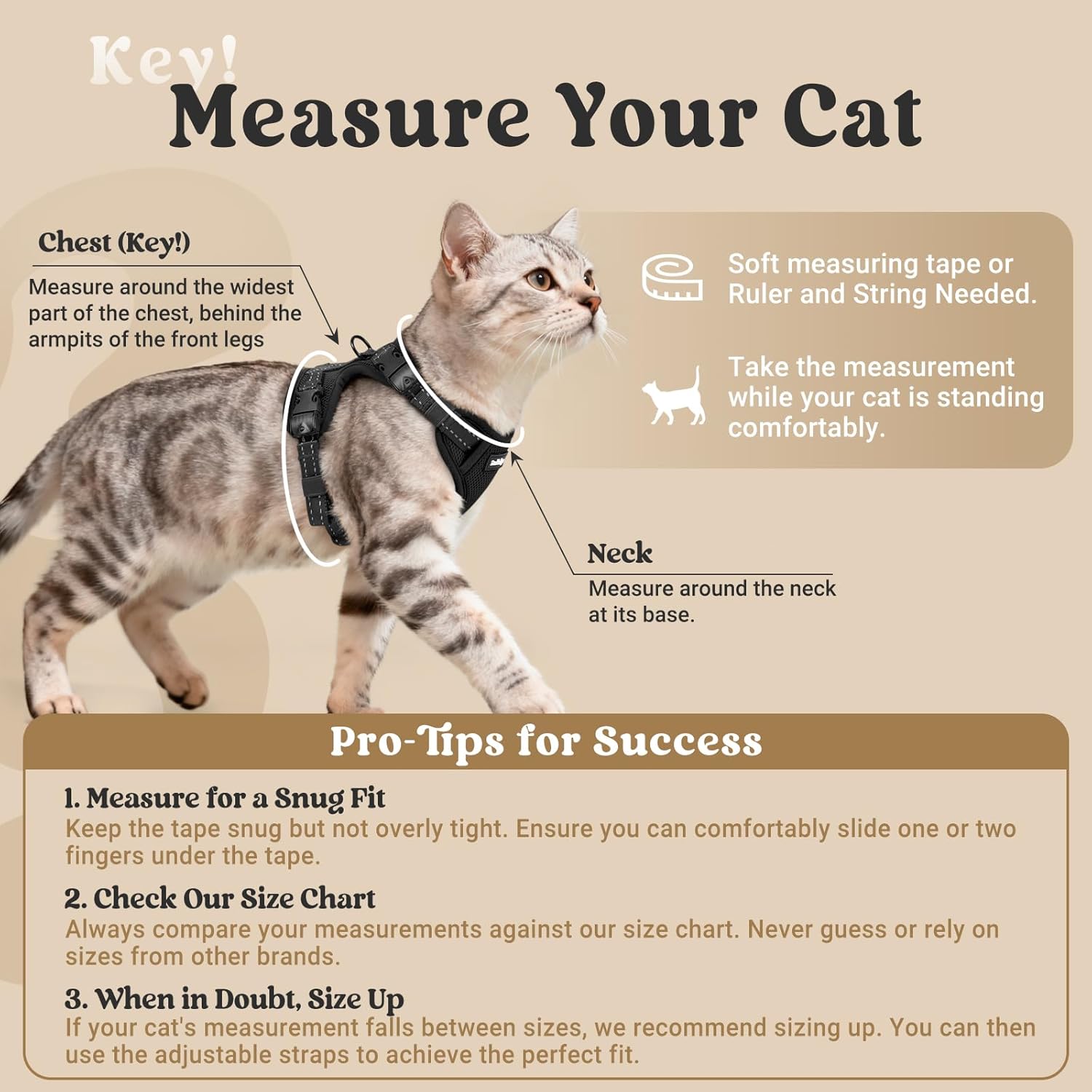 Detalle 2 de Rabbitgoo Cat Harness and Lead Set (Medium–Large) – Escape-Proof, Easy-On Vest Harness with 1.5m Lead