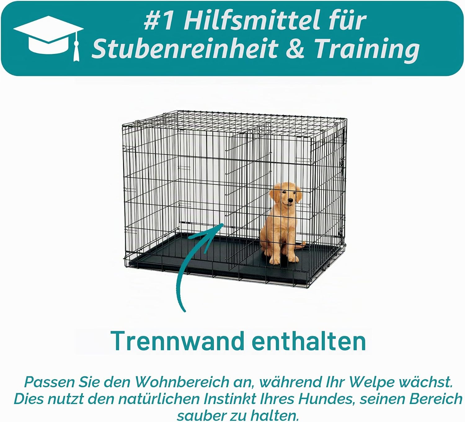 Thumbnail 6 de MidWest Homes for Pets iCrate Hundebox klappbar – kompakt, sicher und vielseitig für kleine Rassen