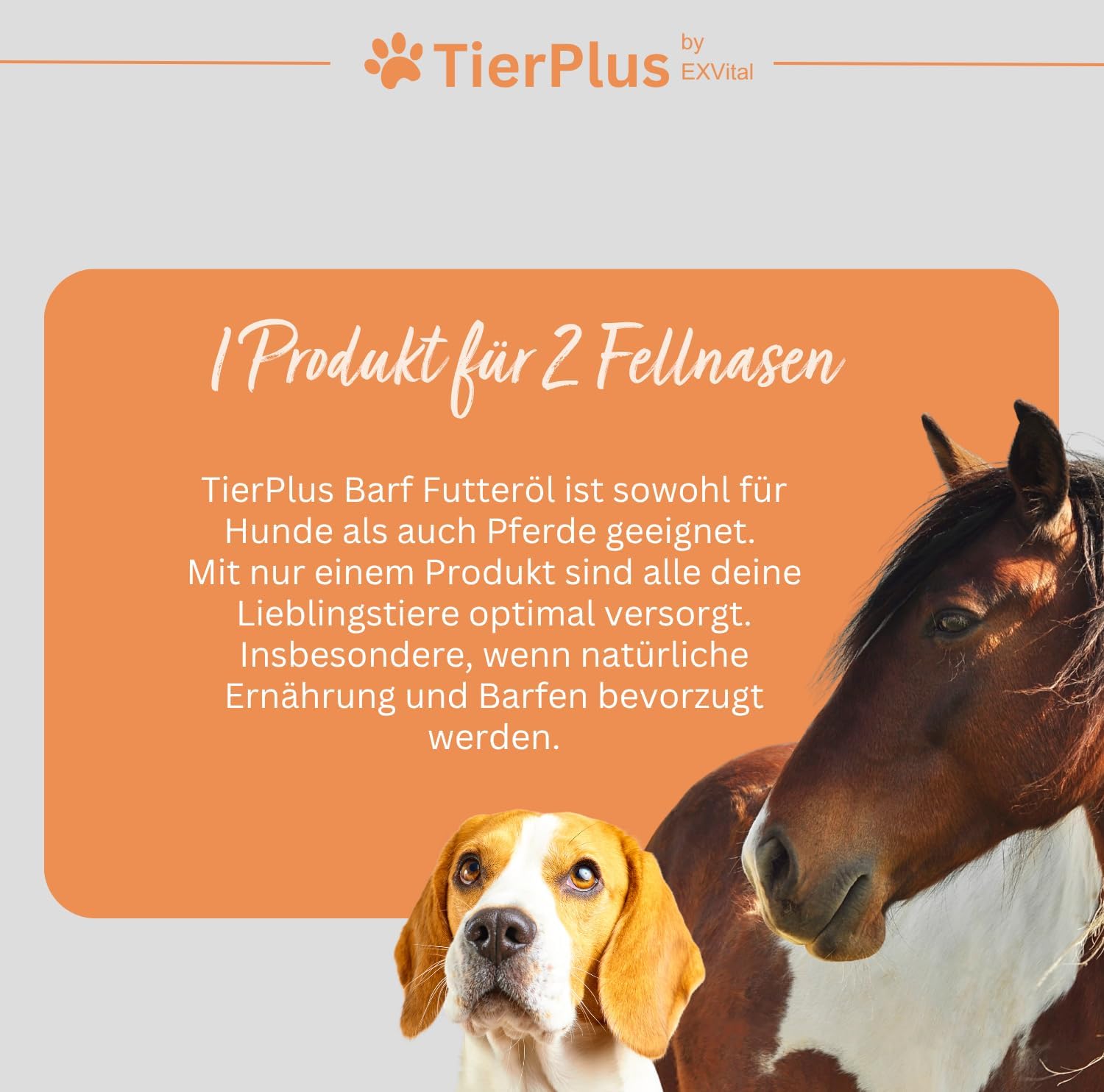 Thumbnail 4 de TierPlus Barf Futteröl für Hunde & Pferde – 1000 ml
