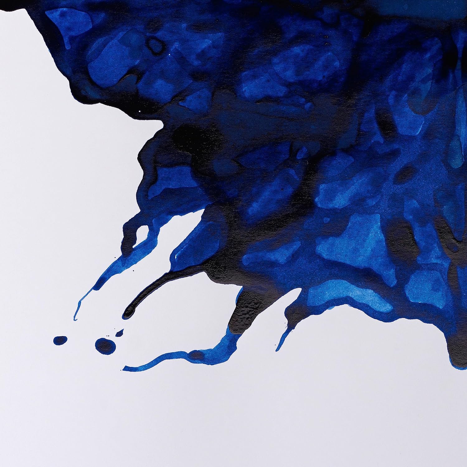 Detalle de Winsor & Newton Astuccio Intro William Collection: stile e funzionalità per chi ama la pittura