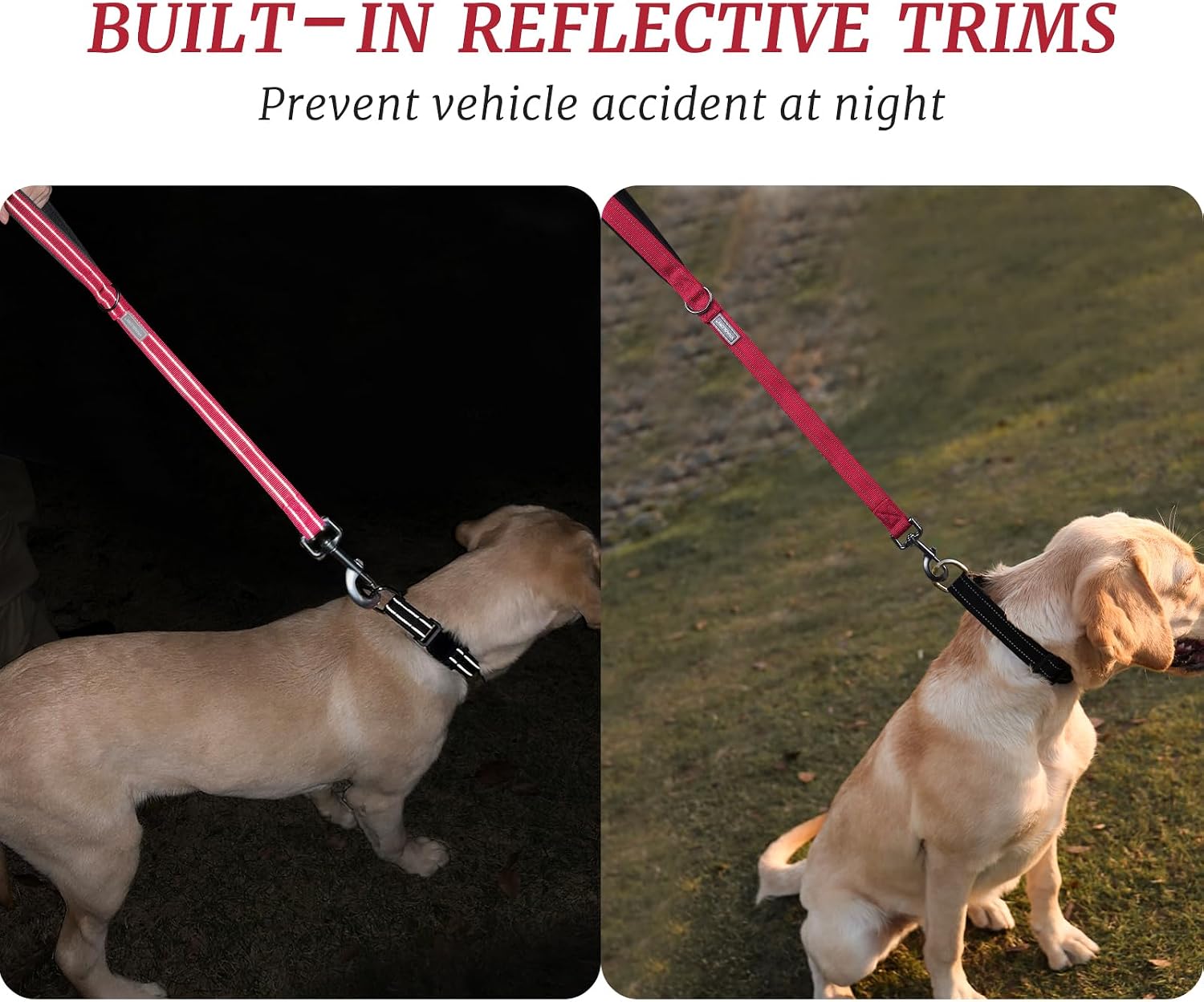 Detalle de VIVAGLORY Closerok Traffic Short Dog Lead (61cm) with Padded Handle – Red