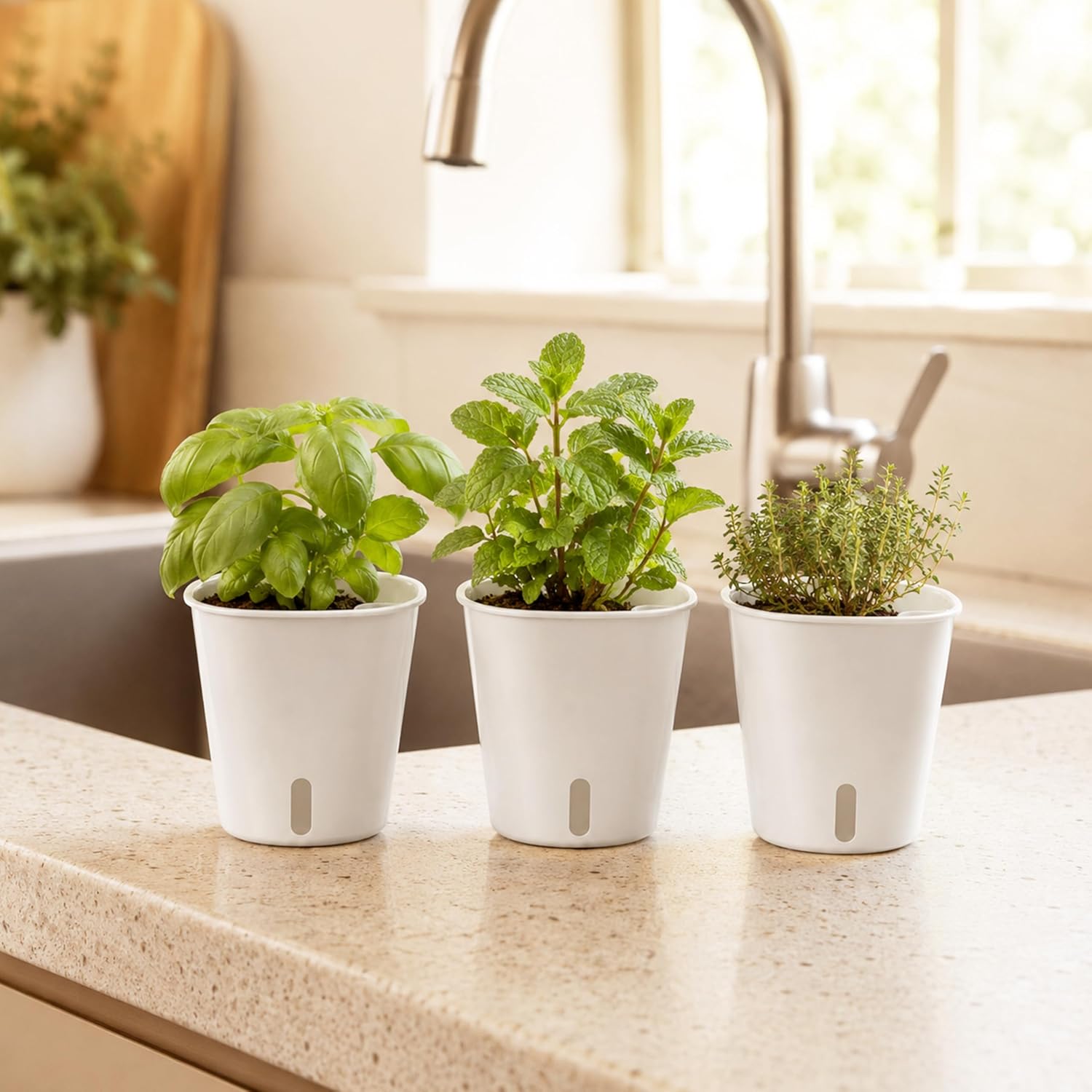 Thumbnail 6 de TCBWFY 10-Pack Self-Watering Plant Pots, 3-Inch White Pots with Water-Level Window