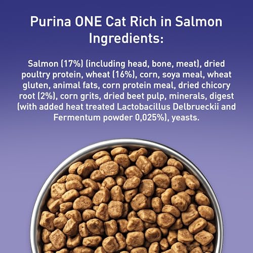 Thumbnail 7 de Purina One Salmon Dry Cat Food 800g (Pack of 4) – Adult Cat Nutrition