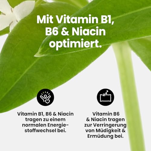 Thumbnail 3 de Best Body Nutrition Vital Drink Waldmeister ZEROP® 1000 ml Zuckerfrei