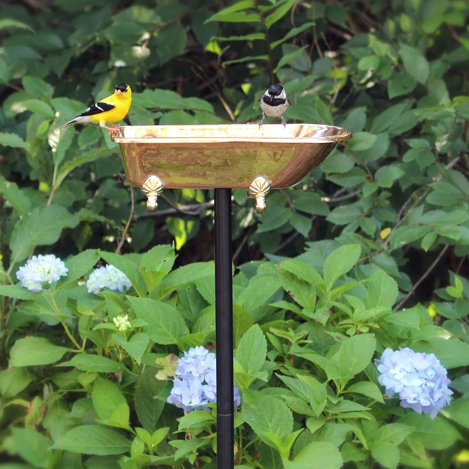 Detalle 2 de Good Directions Bird Bath, Pure Copper
