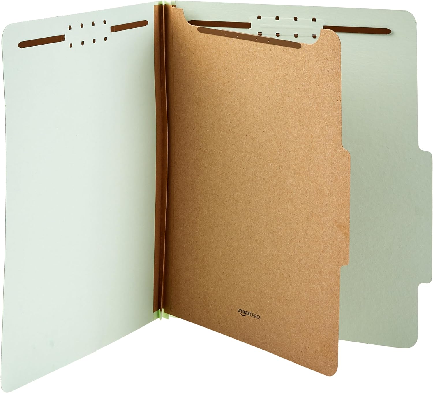 Detalle de Amazon Basics Classification Folder 10-Pack, 2-Inch