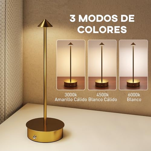 Detalle de HOMCOM Juego de 2 Lámparas de Mesa Recargables por USB: control táctil y 3 temperaturas de color en un diseño dorado