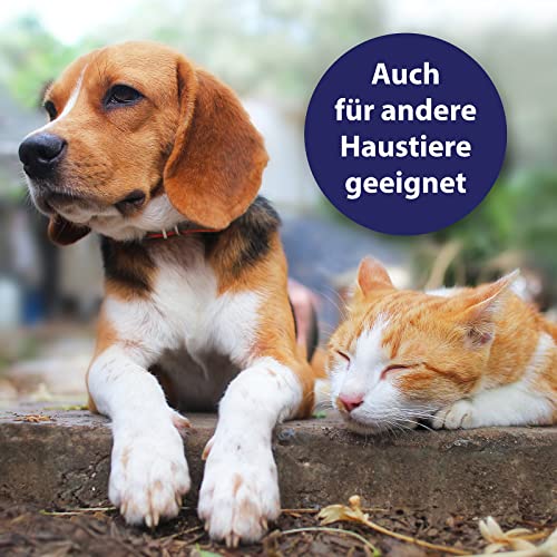 Detalle de Canosept Hautpflegespray für Hunde 250 ml – gegen Juckreiz, Milben & Hautreizungen