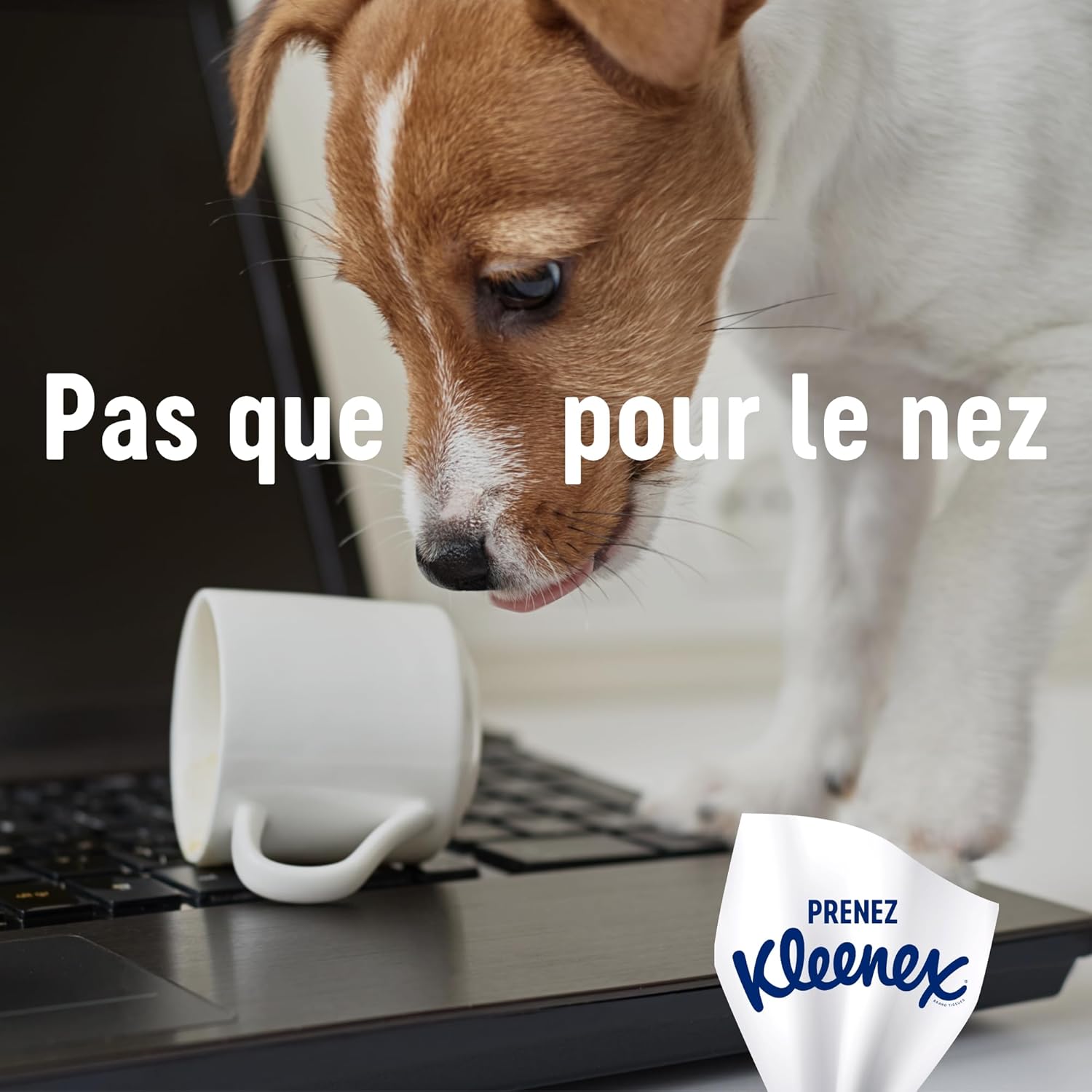 Thumbnail 4 de KLEENEX Mouchoirs Family 15 boîtes 🧻