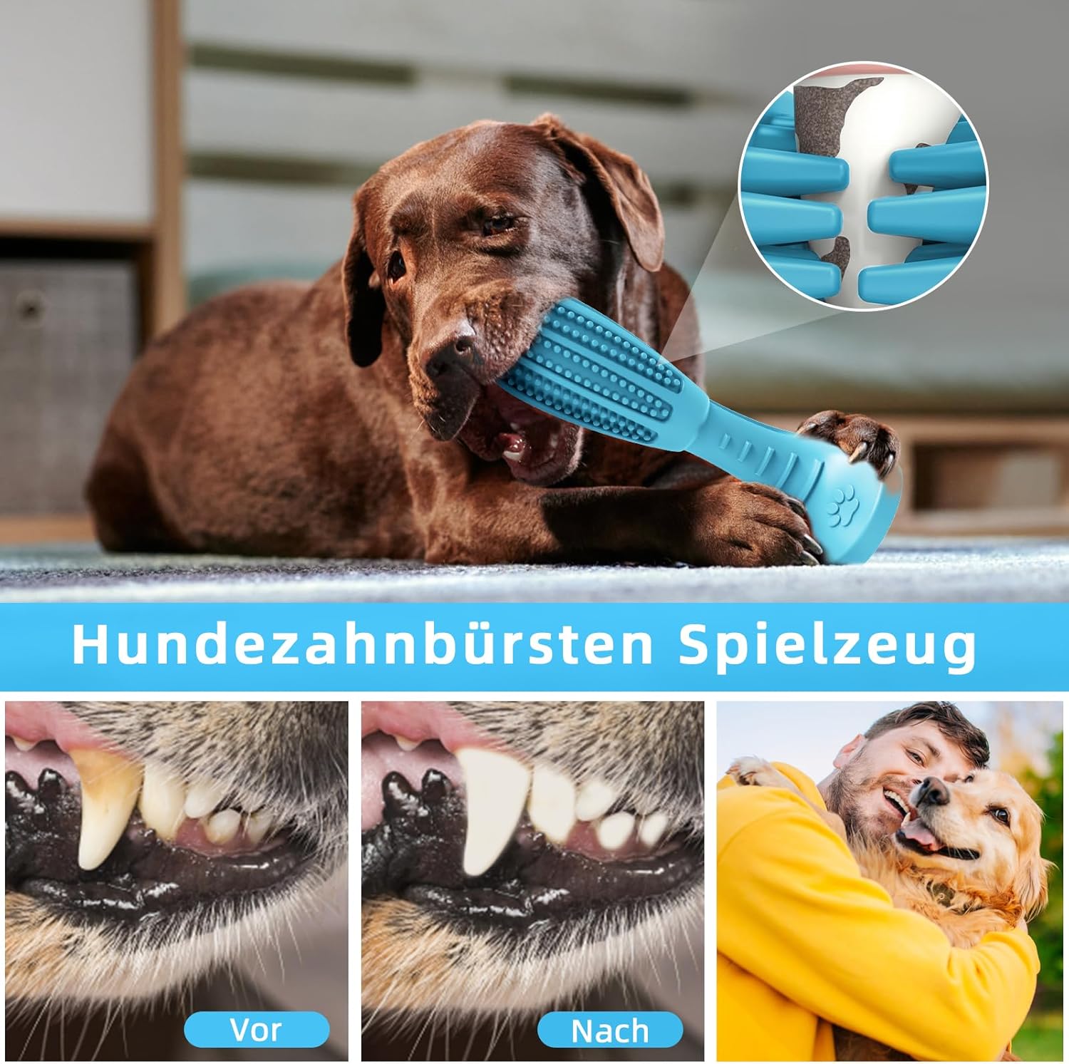 Detalle 2 de HETOO Kauspielzeug für Welpen und mittelgroße Hunde – Naturkautschuk Zähne-Reiniger, blaue Schleifstange