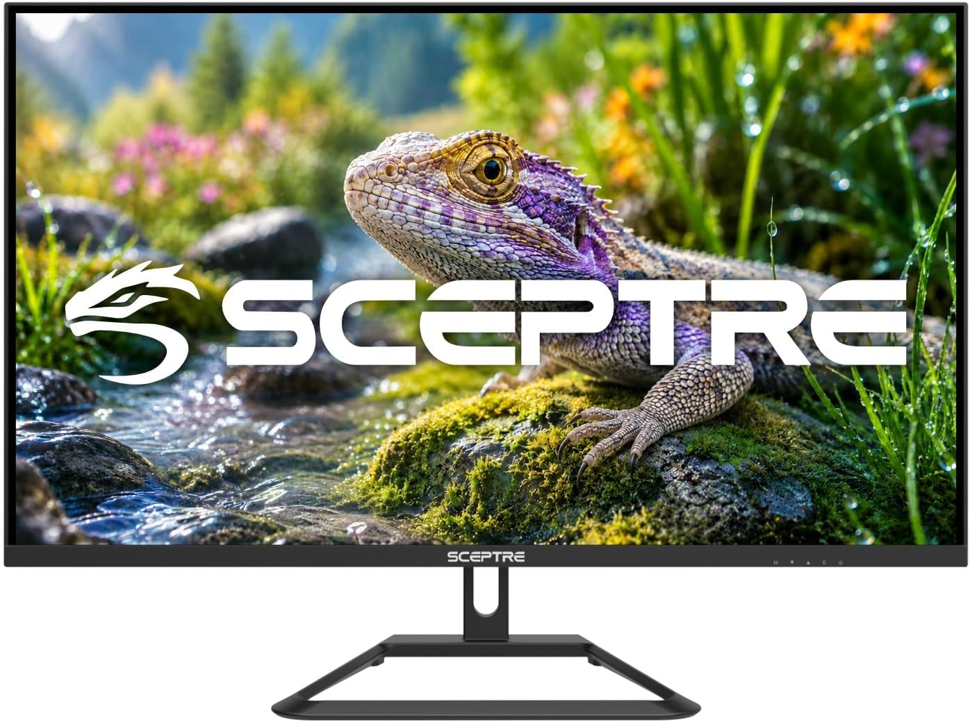 Detalle 2 de Sceptre 32-inch 4K UHD Monitor (U325W-UPT Series) with DisplayPort x2, HDMI x2, and Built-In Speakers