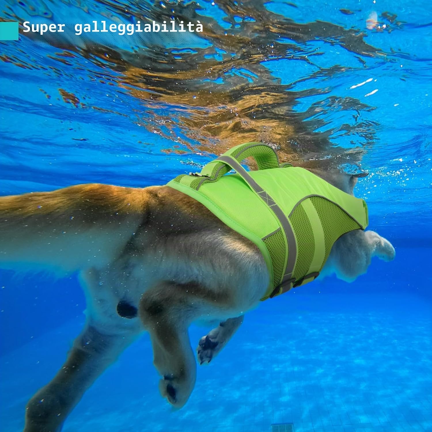 Detalle de Queenmore Giubbotto Salvagente Cane con Alta Galleggiabilità – Versione Verde (L) per Kayak, Barche e Nuoto