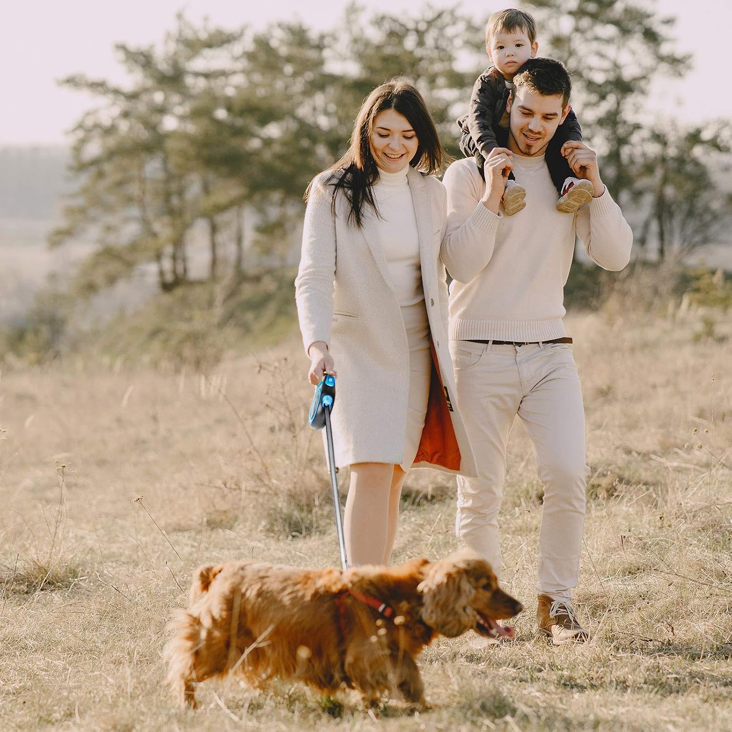 Thumbnail 4 de Aandyou Extendable Dog Lead 8m leash
