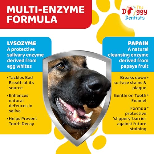 Detalle 2 de The Doggy Dentists Vet Strength Pure Enzymatic Dog & Cat Toothpaste, 100g