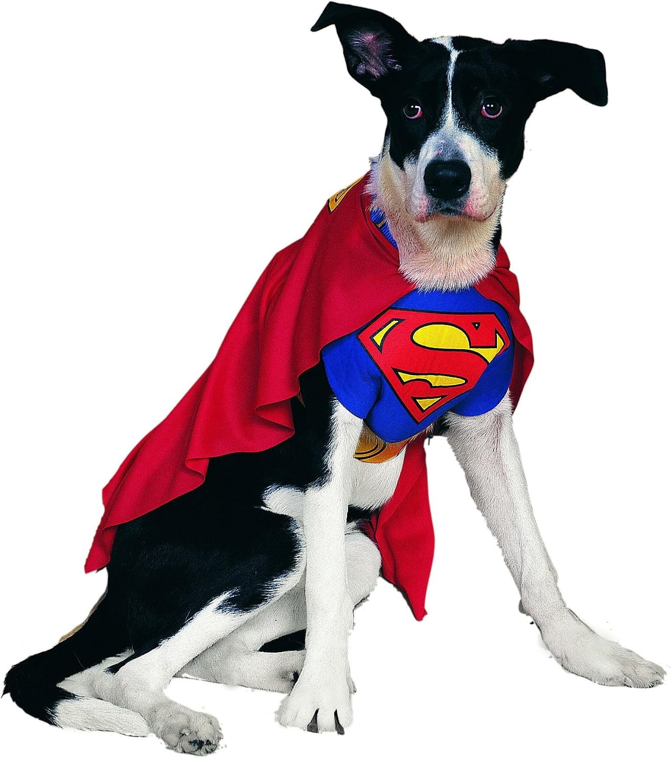 Thumbnail 2 de Rubies Superman pet costume Medium