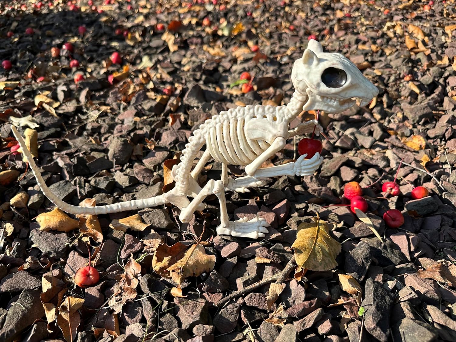 Thumbnail 1 de Crazy Bonez Skeleton Squirrel 7-inch