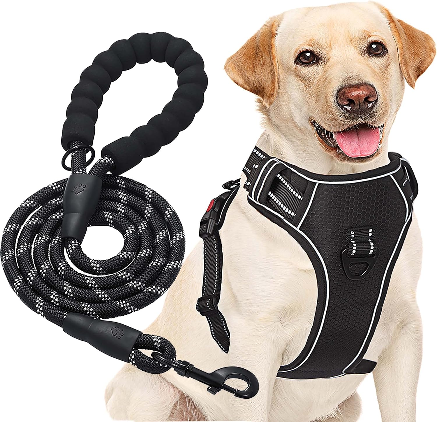 Thumbnail 6 de haapaw No Pull Dog Harness with Reflective Oxford Fabric, Adjustable Easy Control Medium Large + Free Heavy Duty Lead