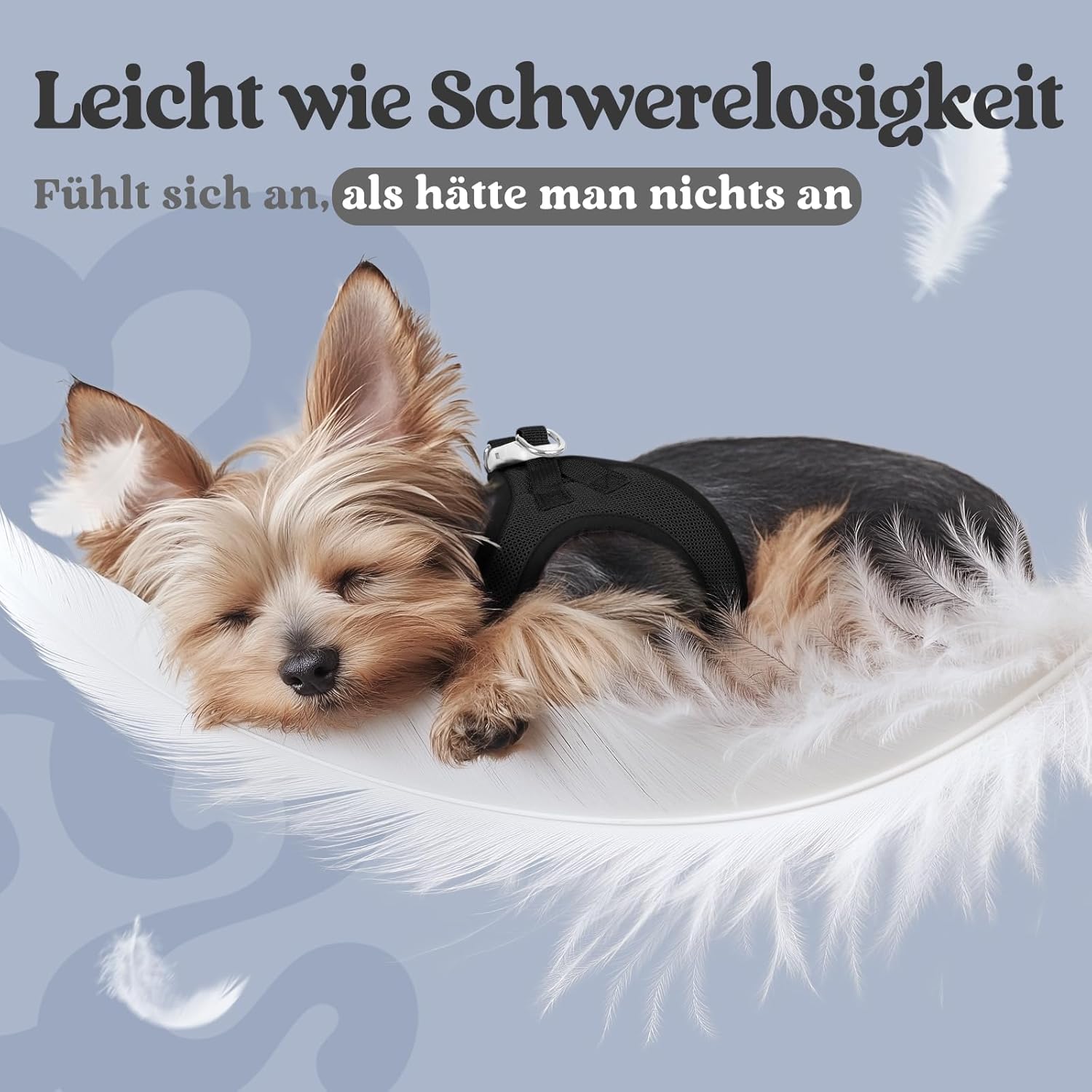 Detalle 2 de rabbitgoo Hundegeschirr XS für kleine Hunde