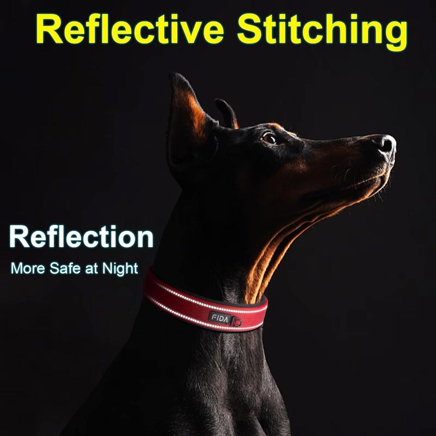 Detalle 2 de Fida Padded Dog Collar with Metal Buckle