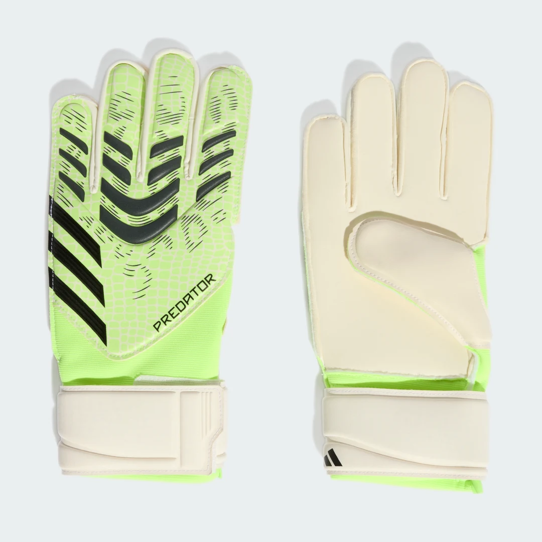 Thumbnail 1 de Guantes de portero adidas Predator Match en verde