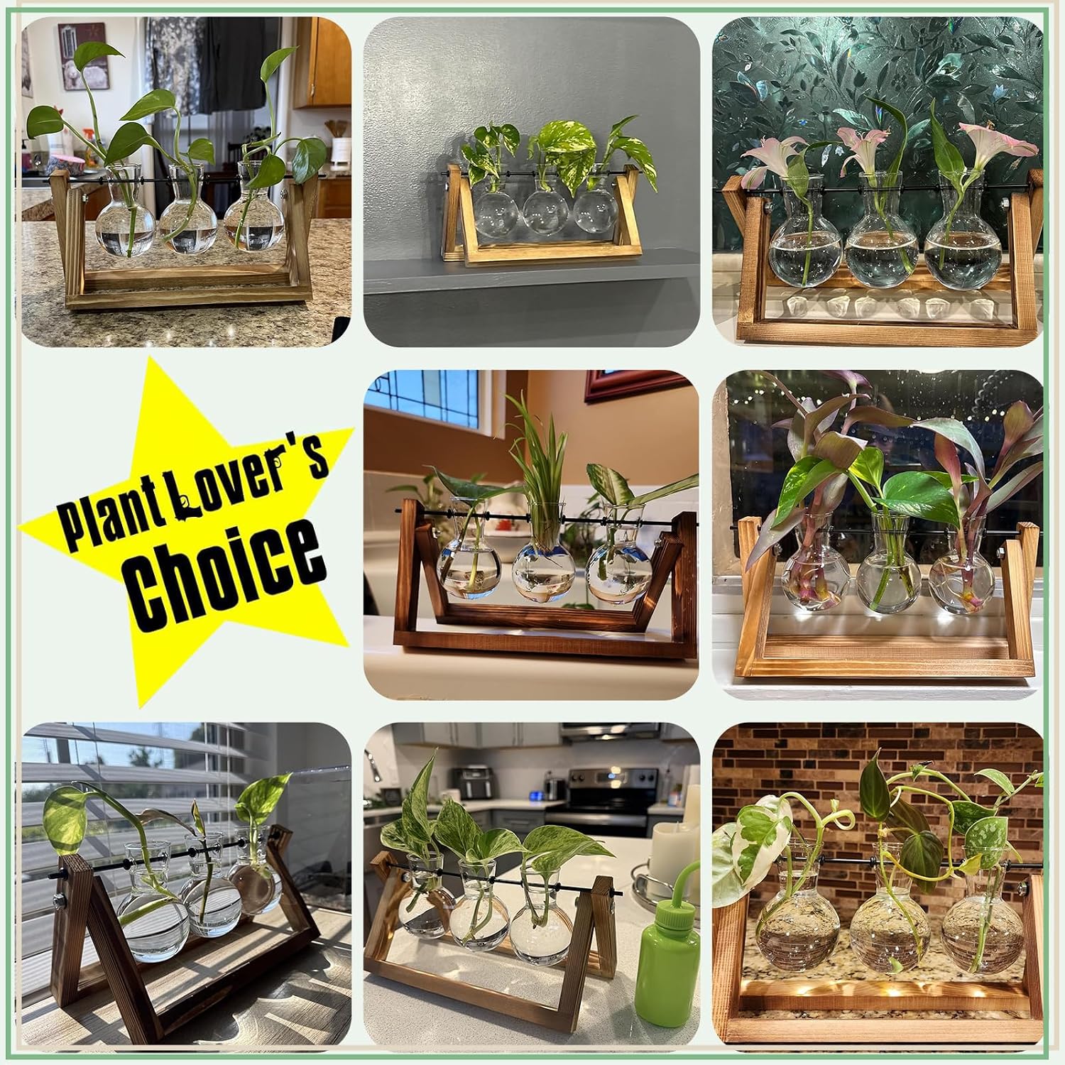 Thumbnail 6 de XXXFLOWER 3-Bulb Plant Terrarium with Wooden Stand and Glass Vases