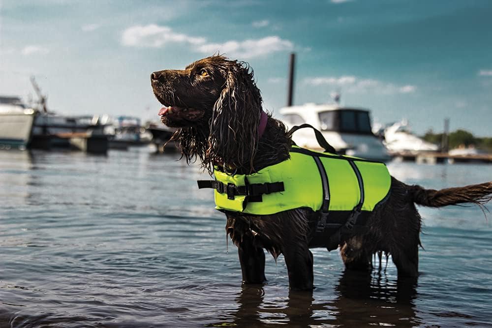 Thumbnail 1 de Nobby Hunde Schwimmhilfe M 35 cm neon gelb