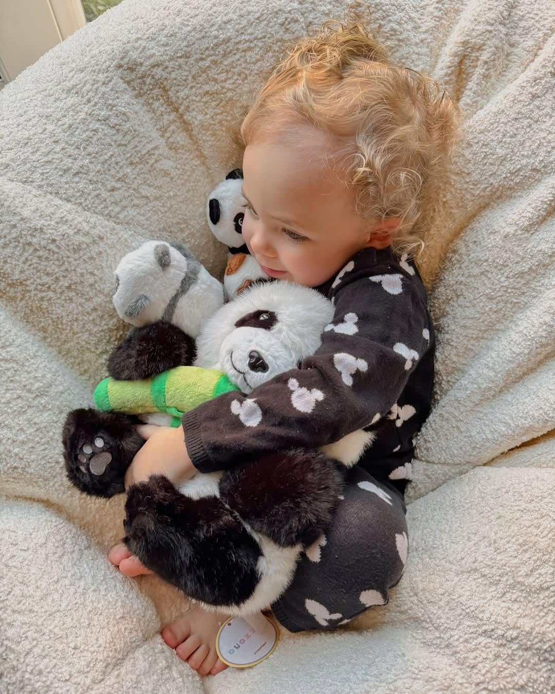 Thumbnail 6 de OUOZZZ 30cm Panda Plush Mama with 3 Baby Pals and Built-in Hideaway Pocket