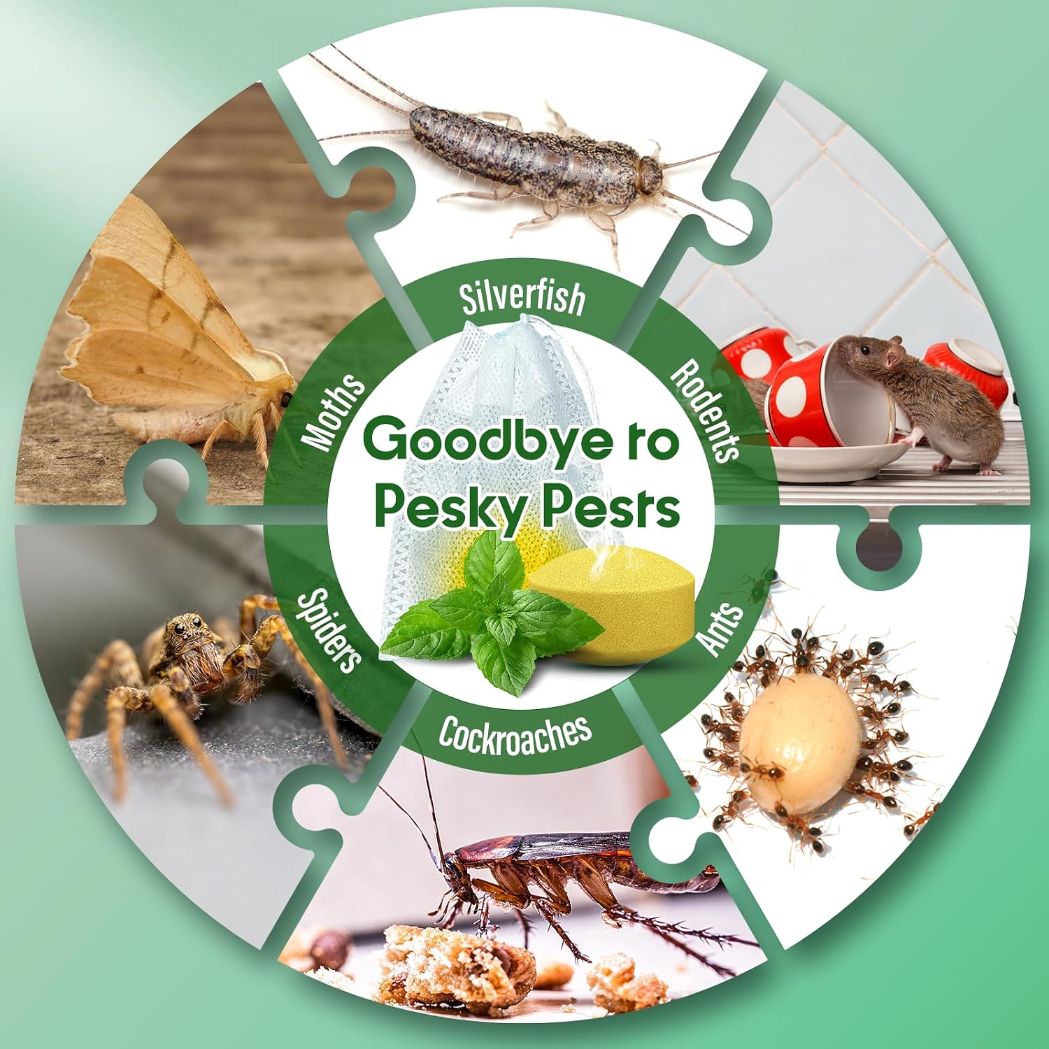 Thumbnail 6 de tenerolike QSQYL01 Peppermint Oil Rodent Repellent, 25 Pack