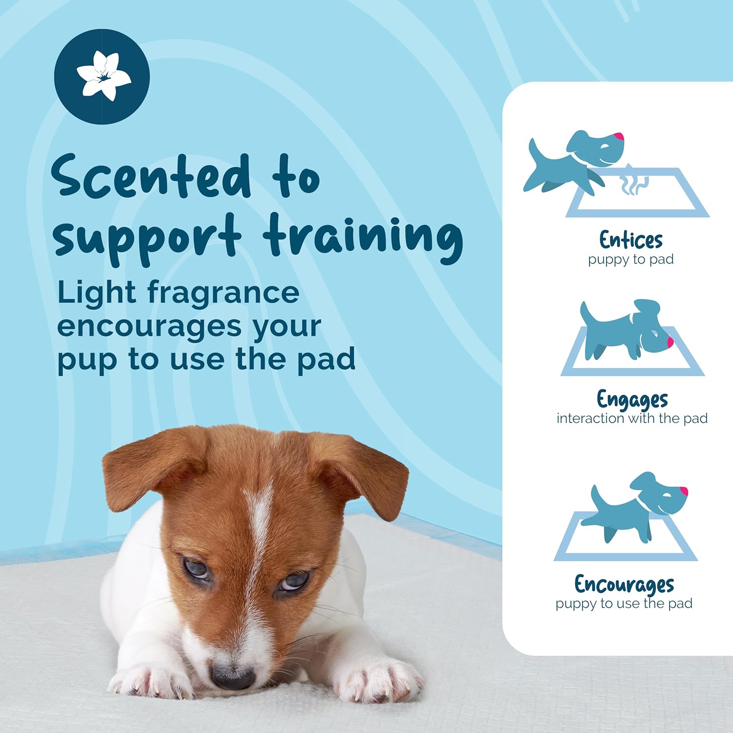 Thumbnail 2 de Petsentials Leakproof, Quick Dry disposable training pads (105-pack) for dogs & puppies